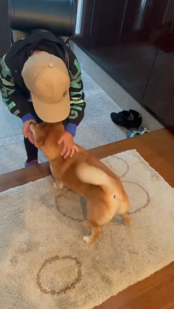 帰宅した男の子を見上げる犬