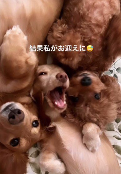 3兄弟の末っ子に！！