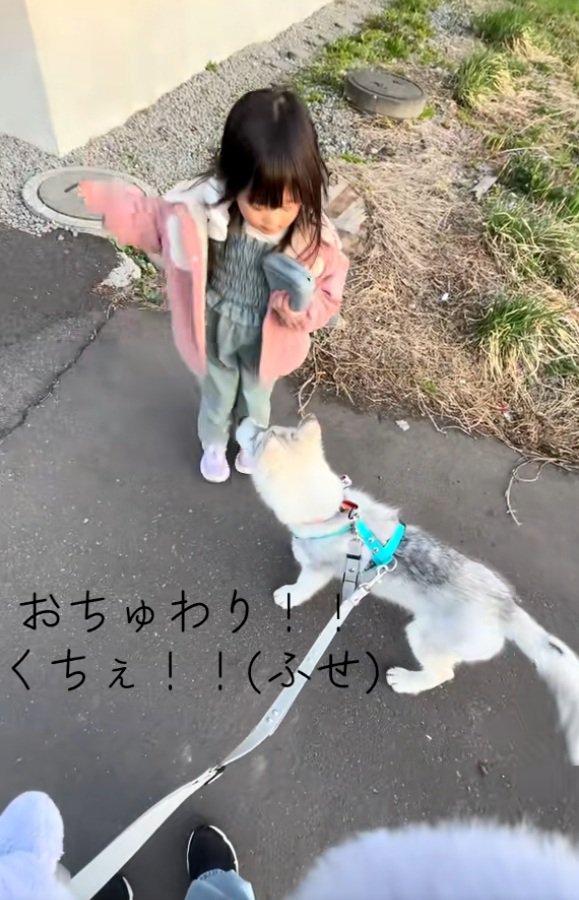 おやつをほしがるブル君