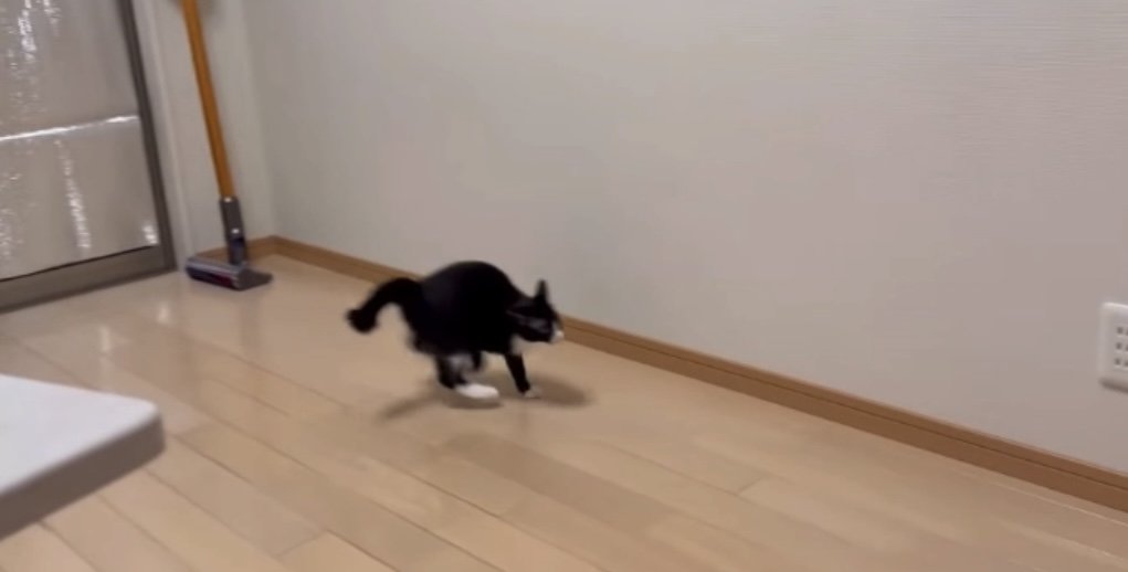 やんのかステップ1