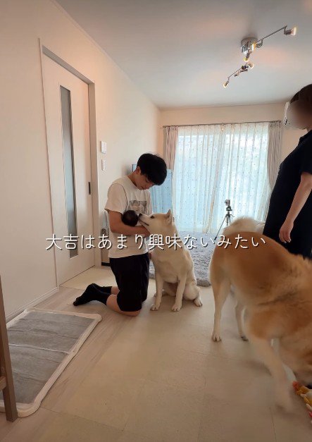 大吉くんは簡単な挨拶