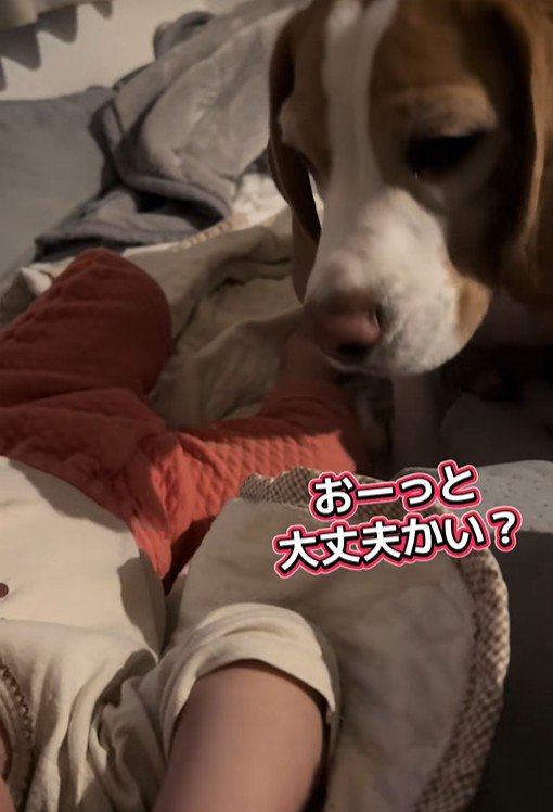 「大丈夫？」と心配