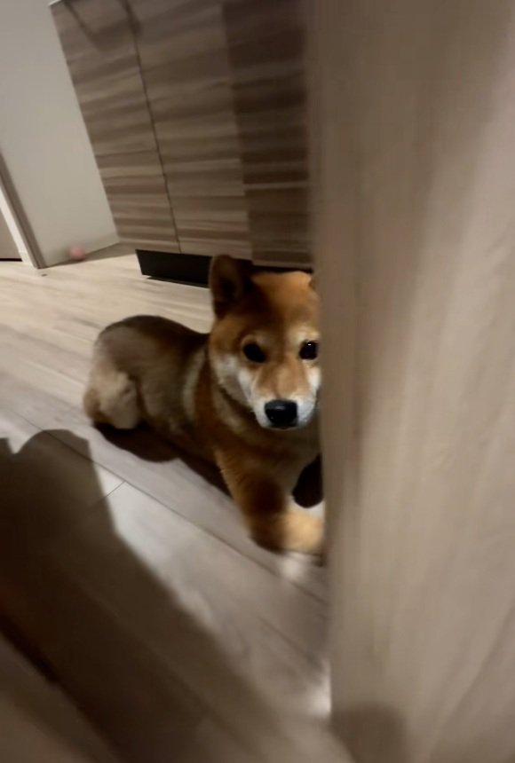 ずっと待ってるイブキくん