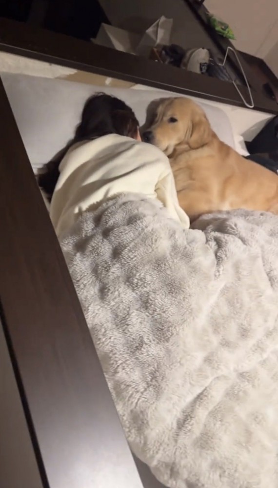 横目でこちらを見つめる犬