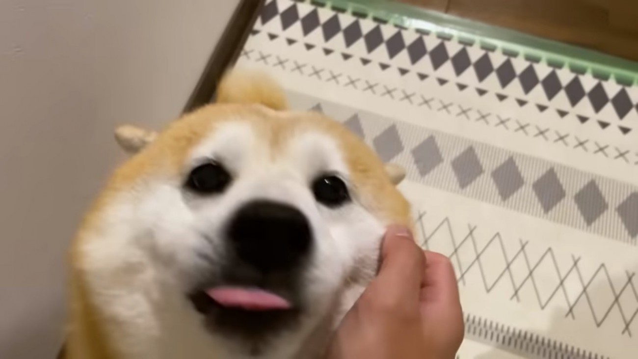 嬉しいらんまるくん