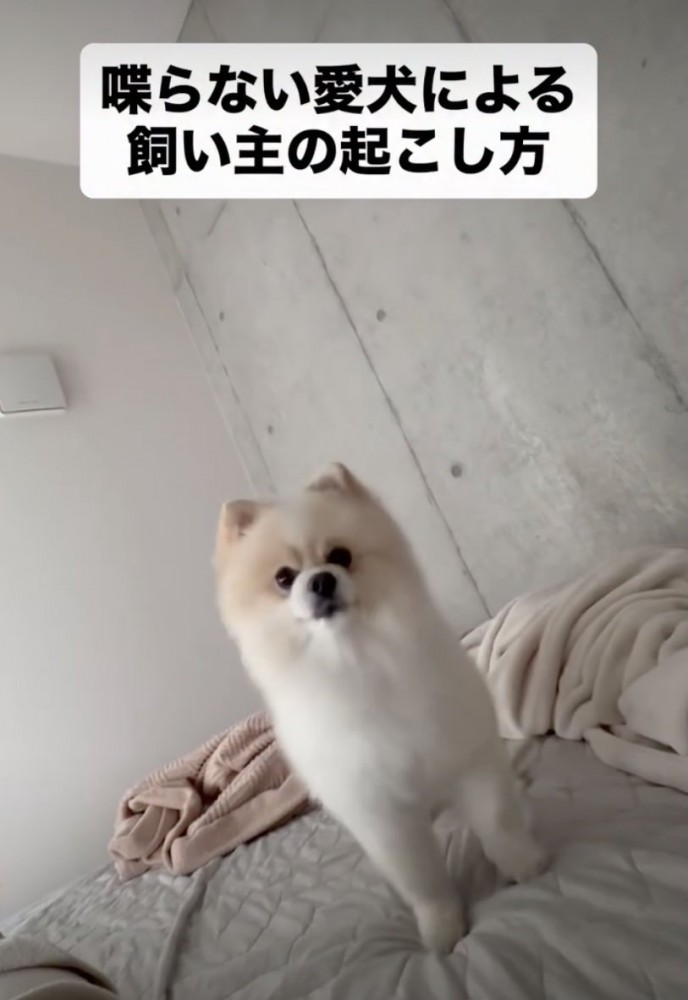 ママを起こしにきました