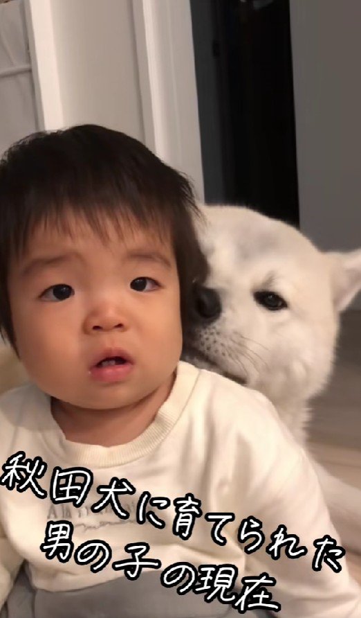 お兄ちゃんのような存在