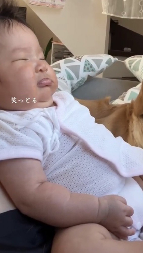膝の上で眠る赤ちゃん
