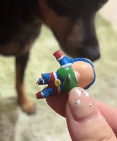 犬に噛まれてしまったおもちゃを持つ飼い主