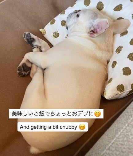 健康的な体つきに
