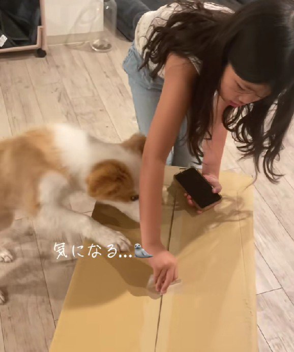 めるちゃんも興味津々