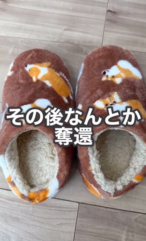 取り返したスリッパ