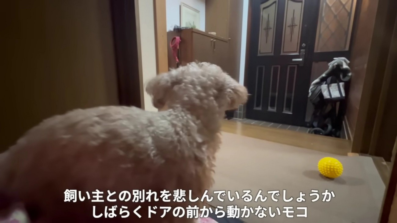 玄関に留まっていた