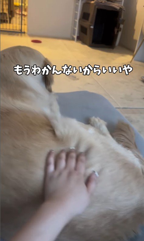 困惑する麹くん⑩