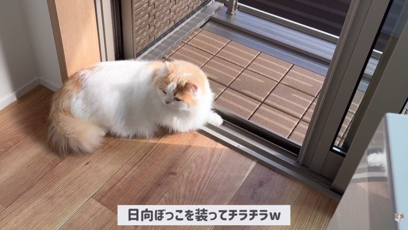 ポテチくんとレモンさんの初対面6