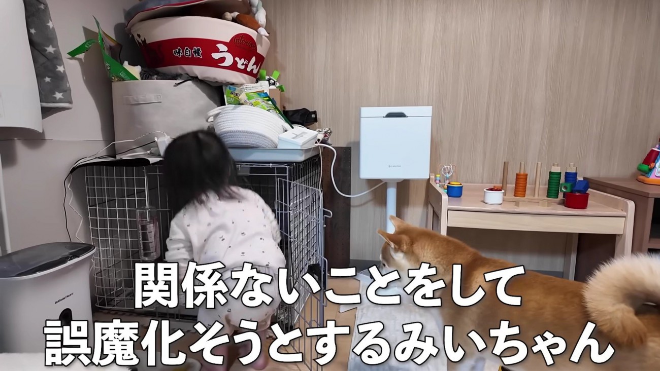 監視の目を散らそうと試みる