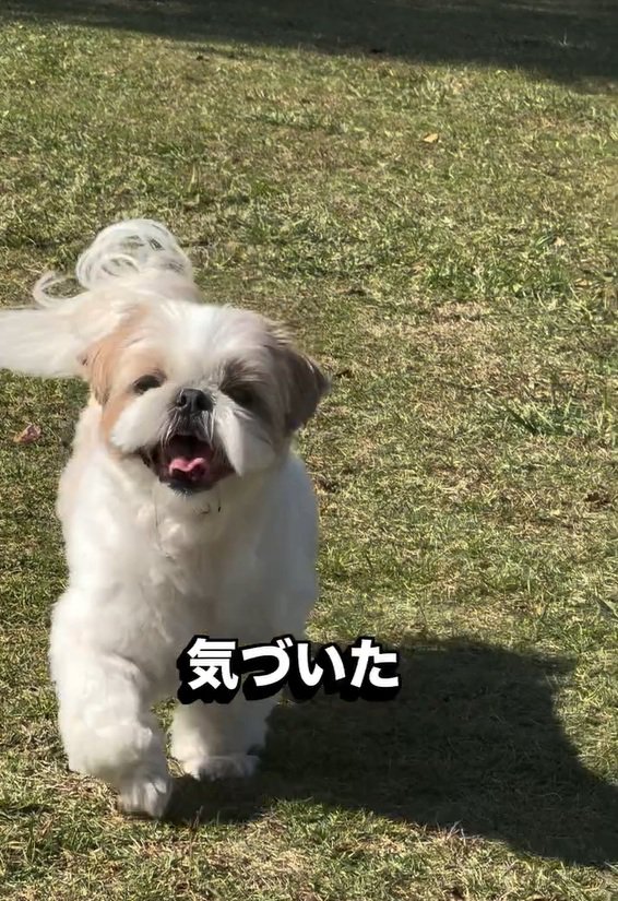 笑顔のピコちゃん