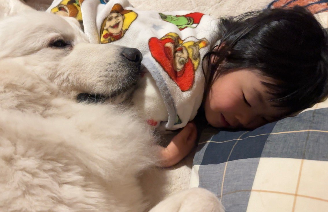 シュシュちゃんが甘えることも♡