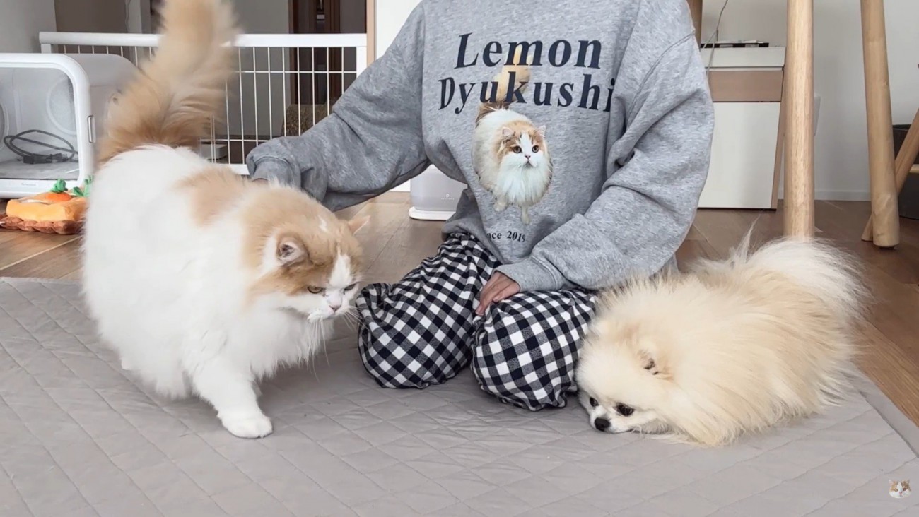 寄り添ってくれています♪