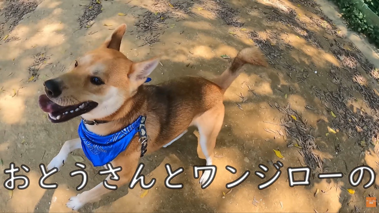 到着したらハイテンションに♪