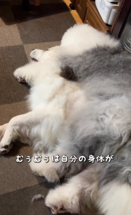 添い寝がやめられない♪