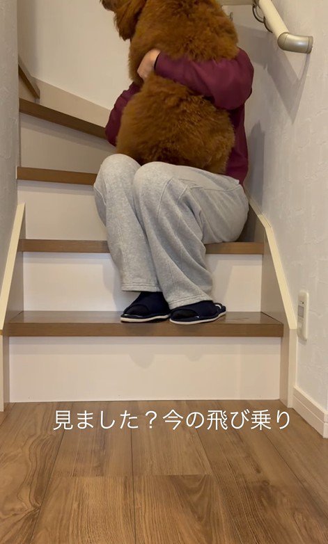 大きな赤ちゃんのよう♡