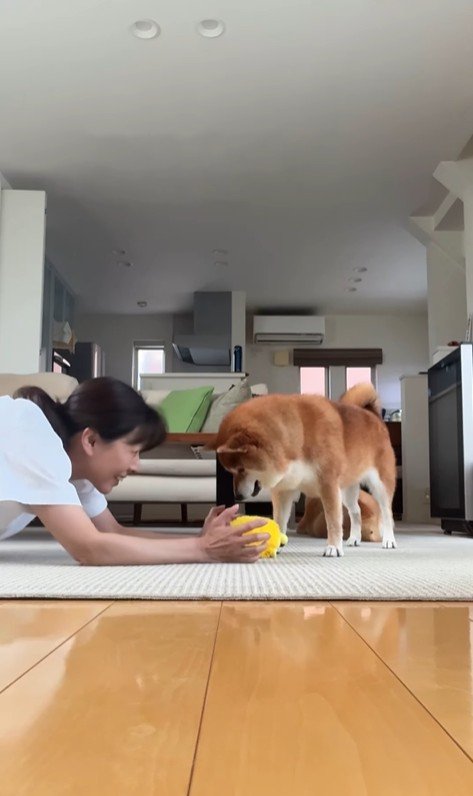 ヨガを邪魔する野々花ちゃん2