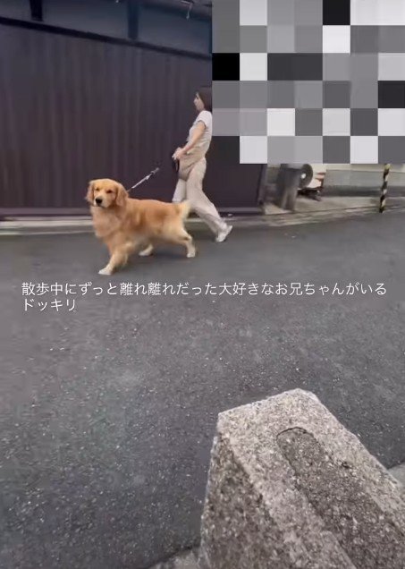 何かを見つけたみたい