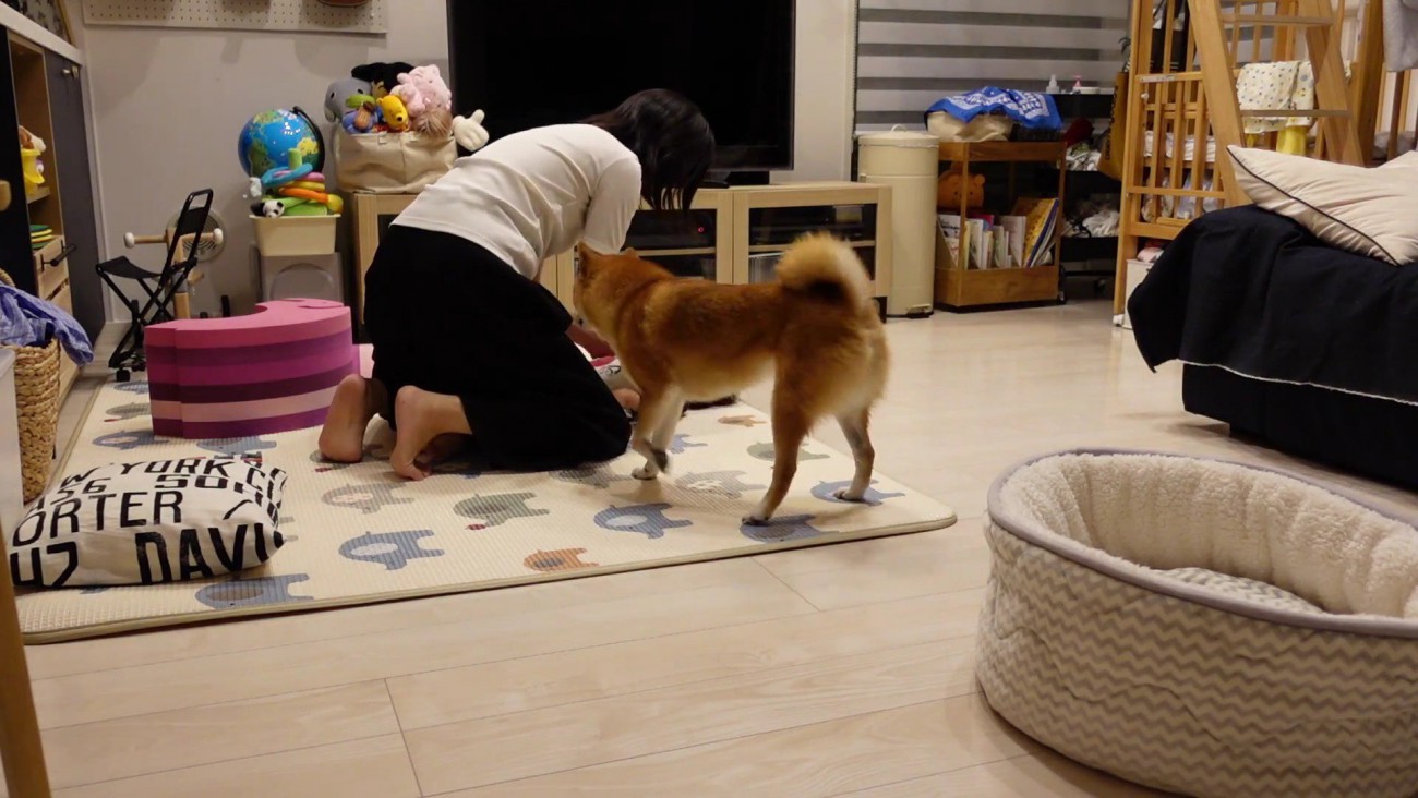 「食べちゃうぞー！」