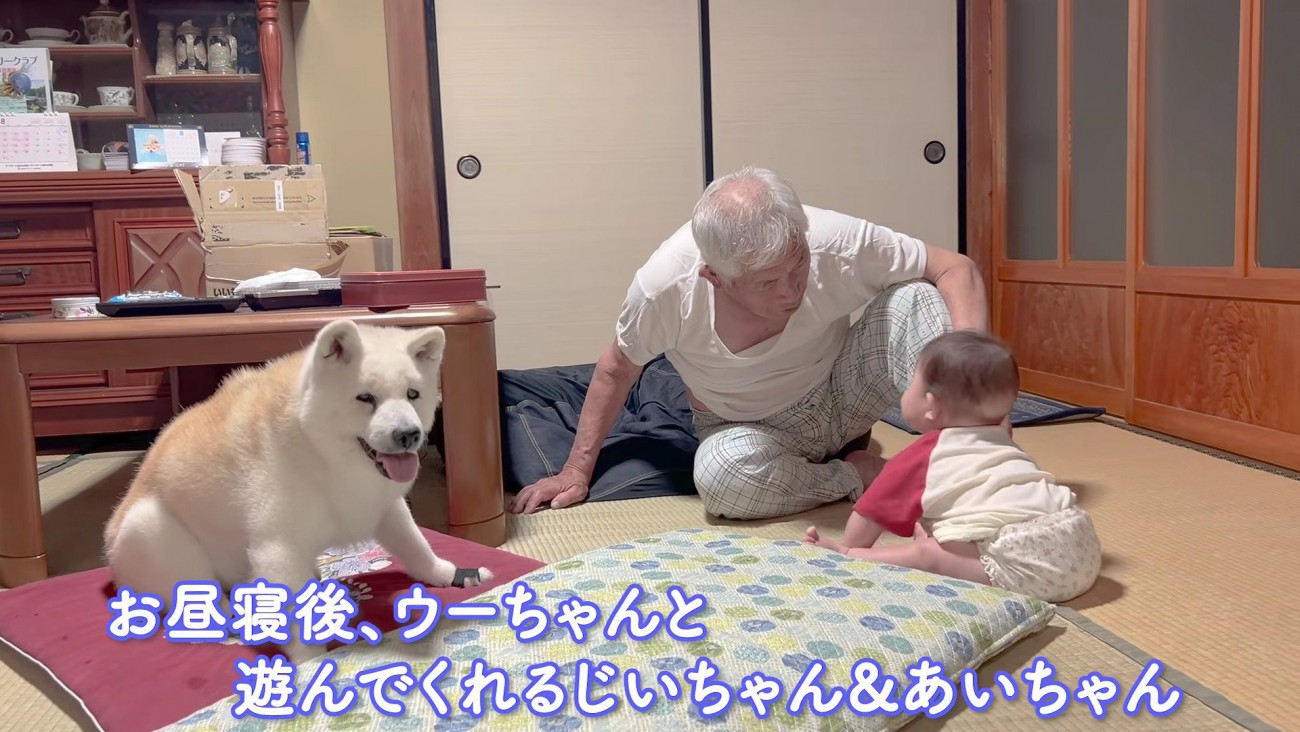 赤ちゃんと遊ぶことも