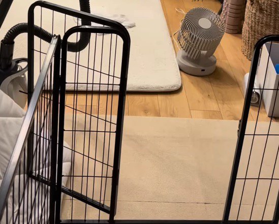 家の中に設置されたサークル