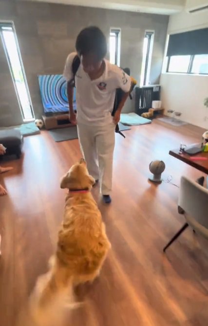 尻尾がちぎれそうなエルちゃん