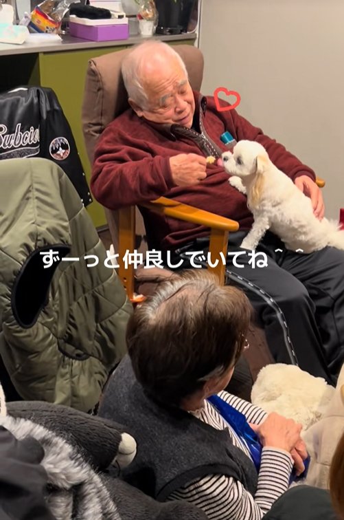 おじいちゃんと小型犬