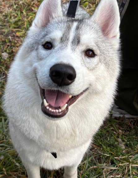 可愛らしい顔の男の子