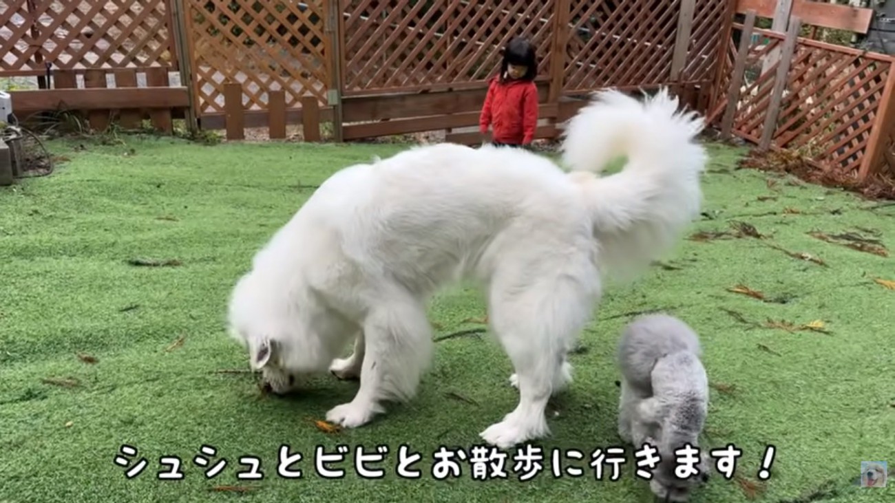 ドッグランの3人