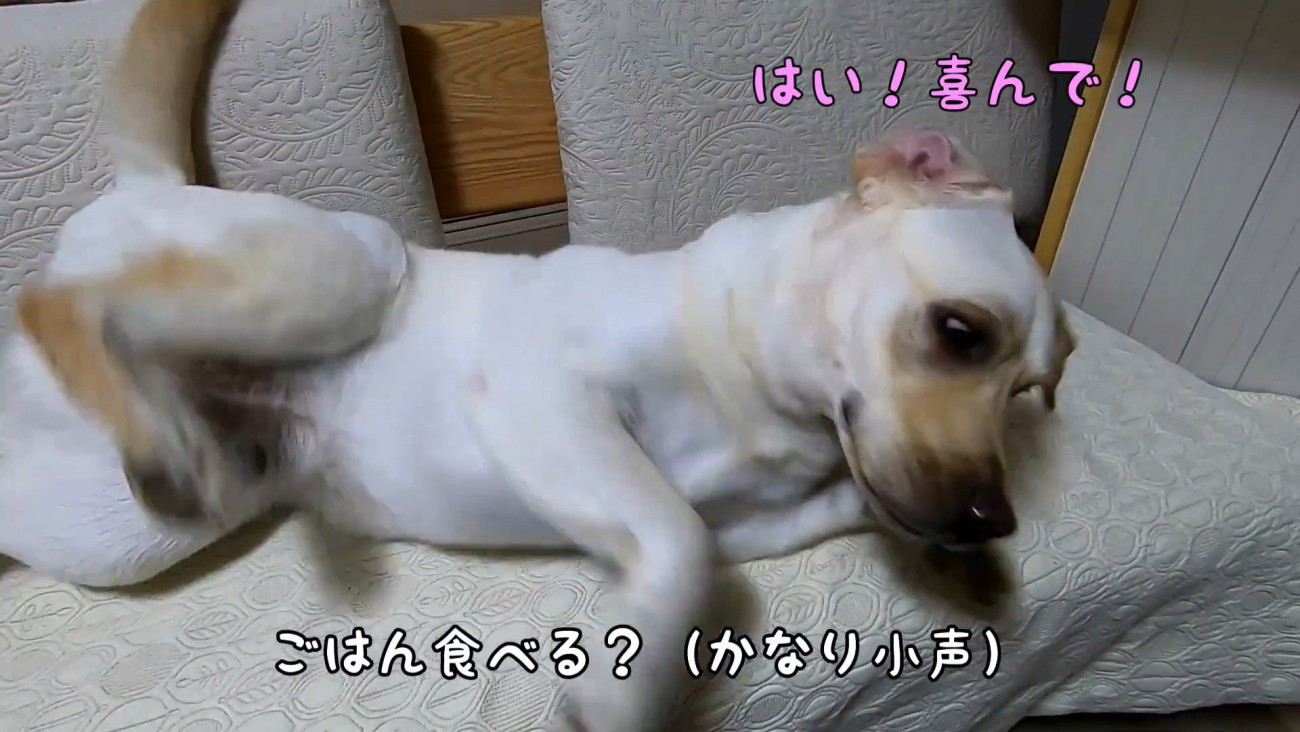 くるりと華麗に半回転♪