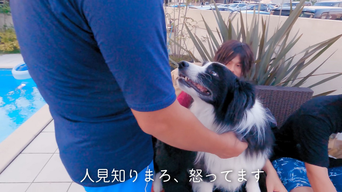唸り始めるまろ君
