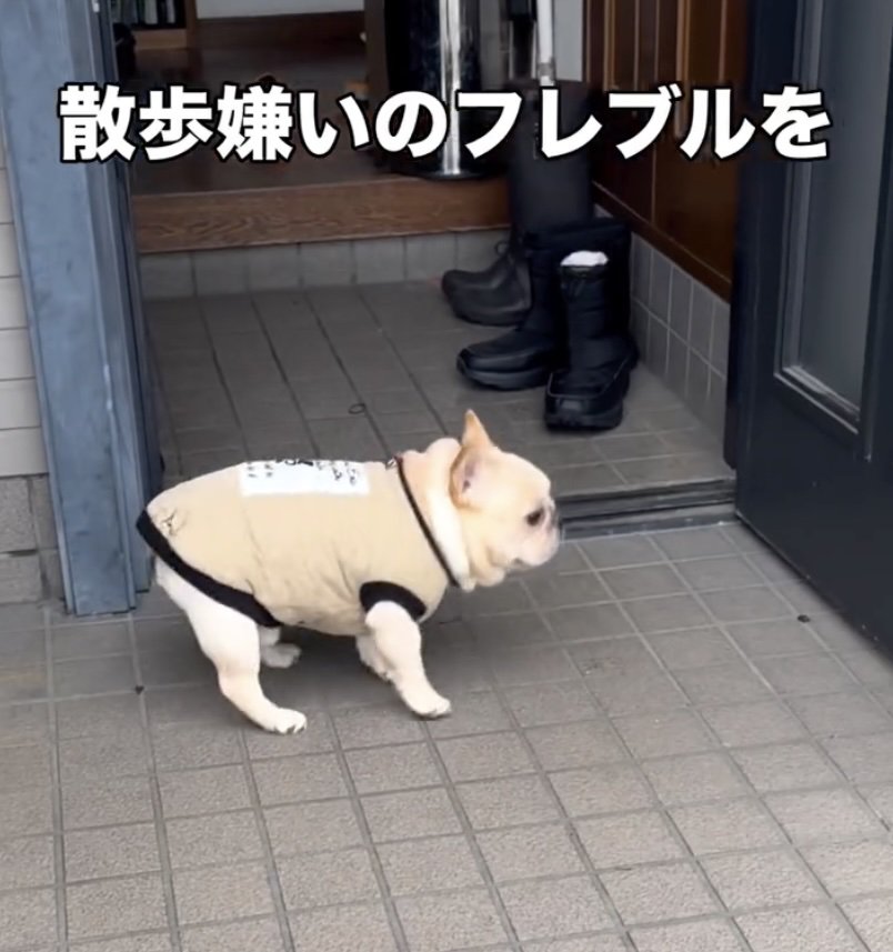 その場で小さくピョンッ