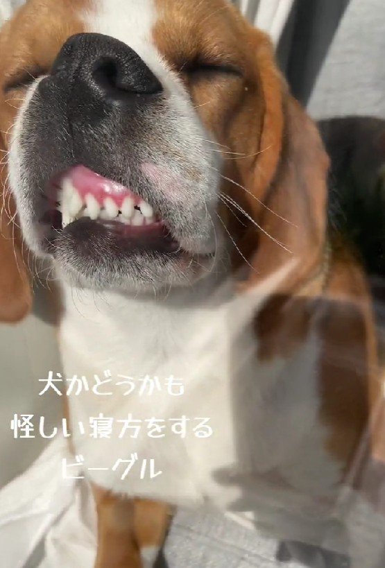 とんでもない顔に！！