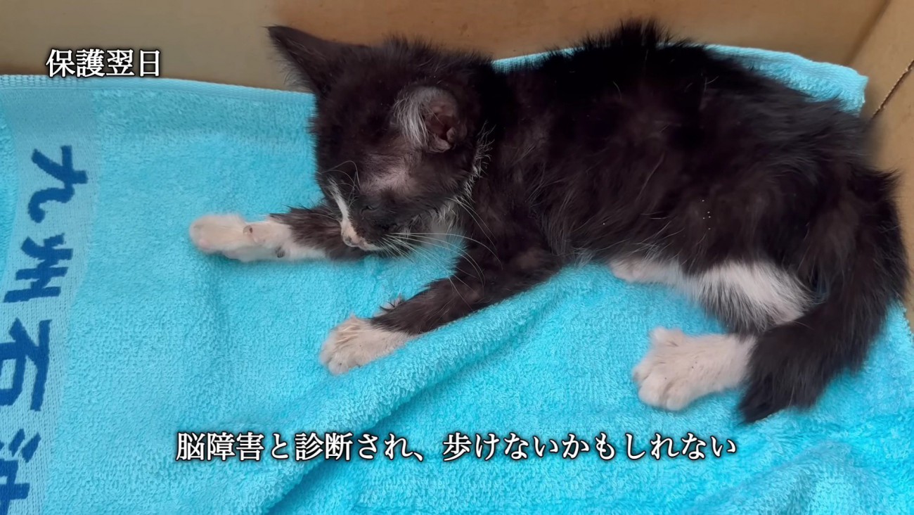 先は長くないと宣告された