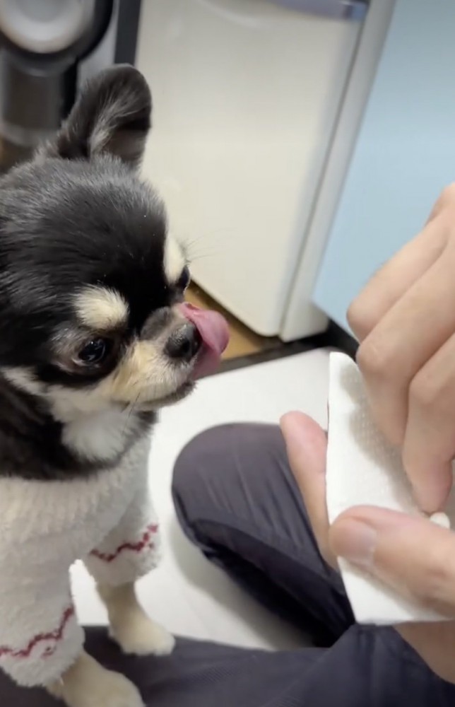 「まだある？」