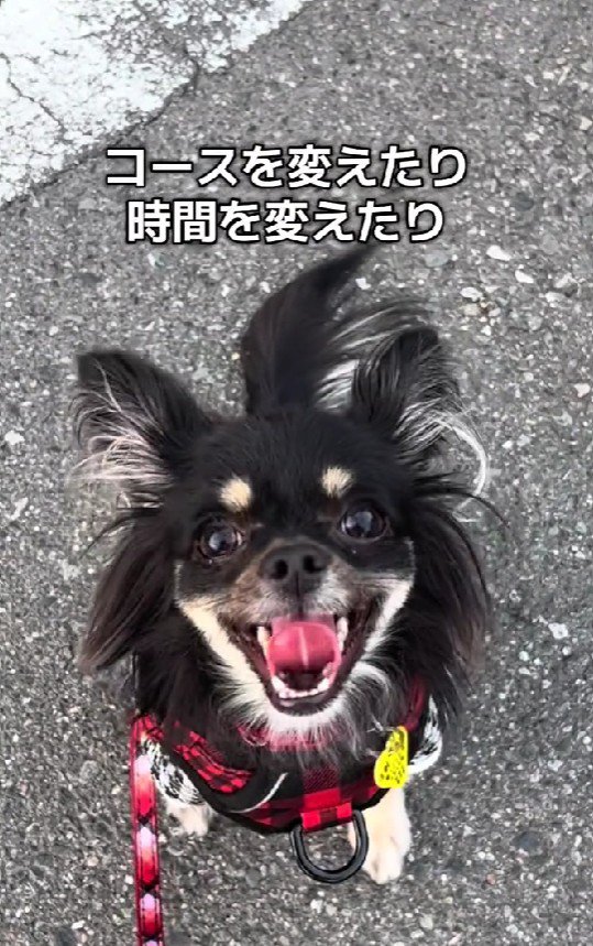 生後11か月になったころ…