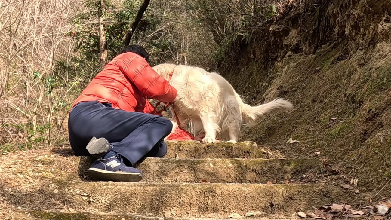 飼い主さんの復活に大喜び♪