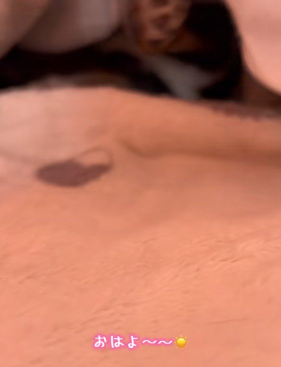 布団をめくってみると…