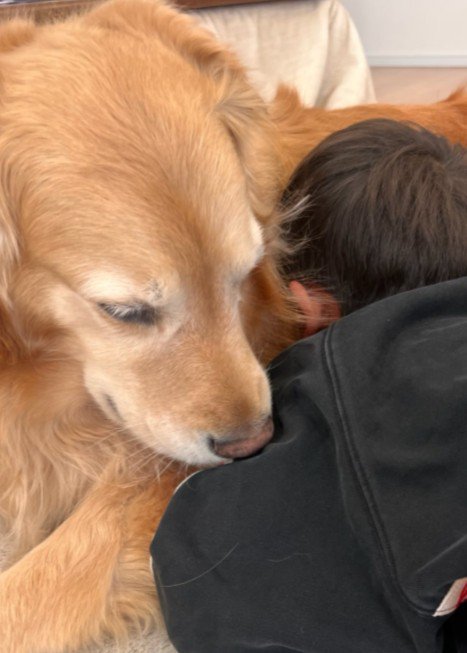 「すぐ仲直りできるよ」