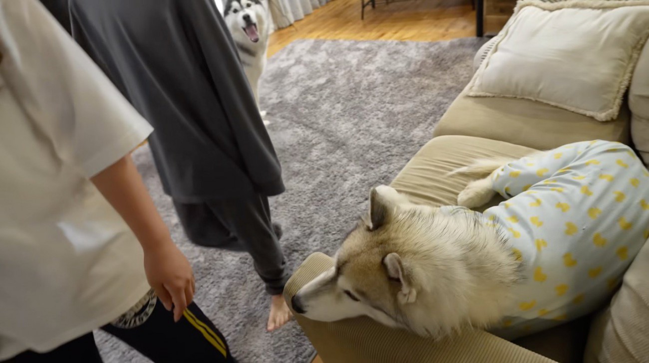 リビングを出て行く男の子たち