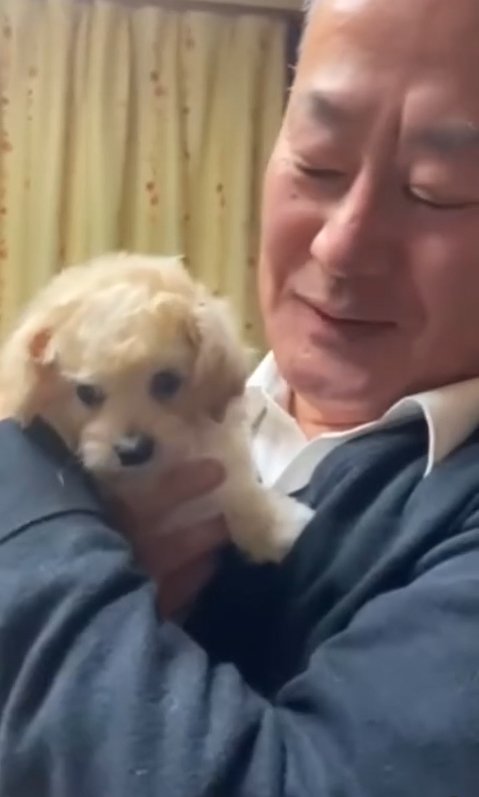 子犬を抱っこするお父さん