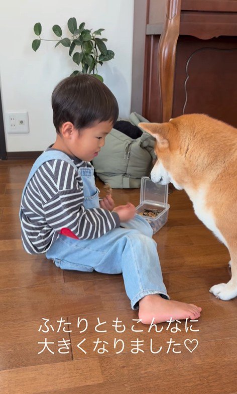 いとちゃんの成長記録6