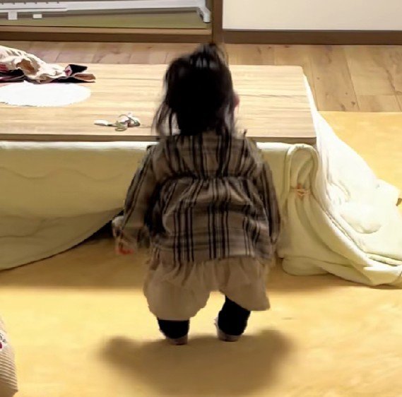 こたつの中に逃げるルナちゃん