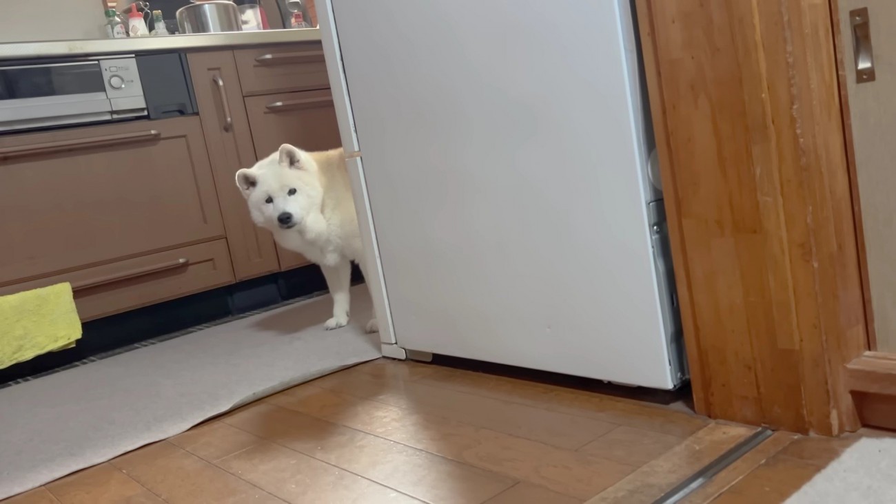 ご飯できたかな？